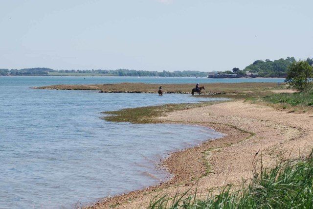 Horses by the Stour
