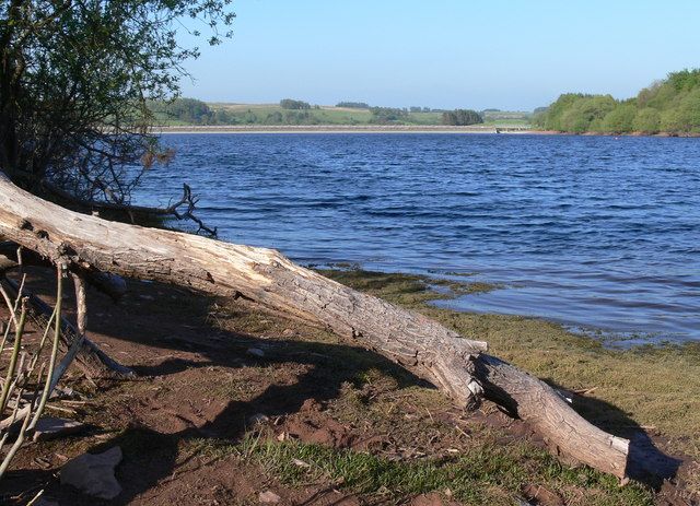 Shoreline of the Usk Reservoir