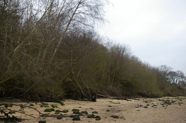 Cliff erosion by the Stour estuary at Wrabness
