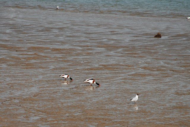 River Orwell Foreshore