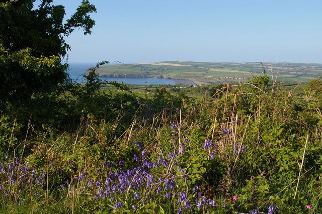 Hedgerow and view towards Newport Bay from below Penyparc