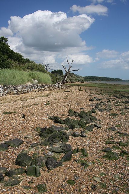 Orwell foreshore