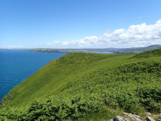 View towards Newport Bay
