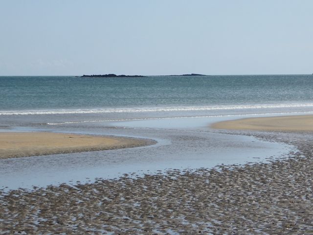 Heron in the sea at Clonea Strand
