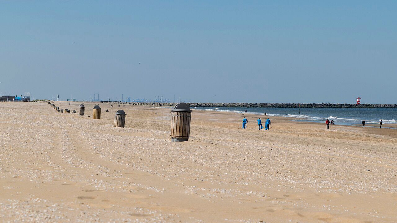 Face, Scheveningen