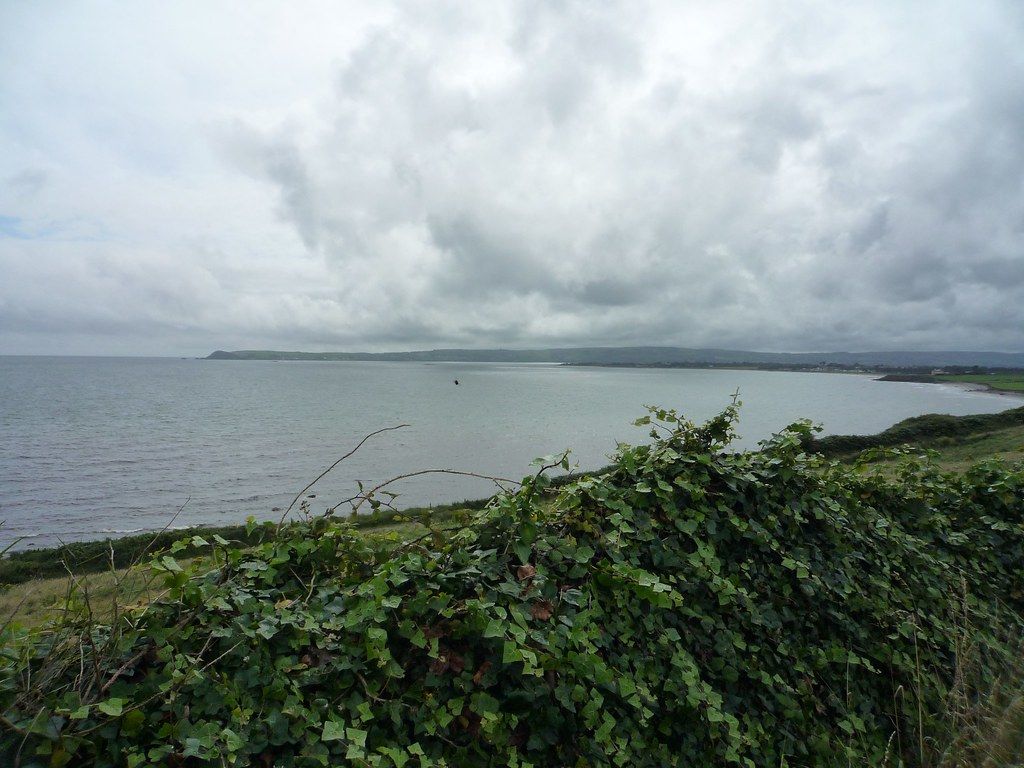 Clonea Bay