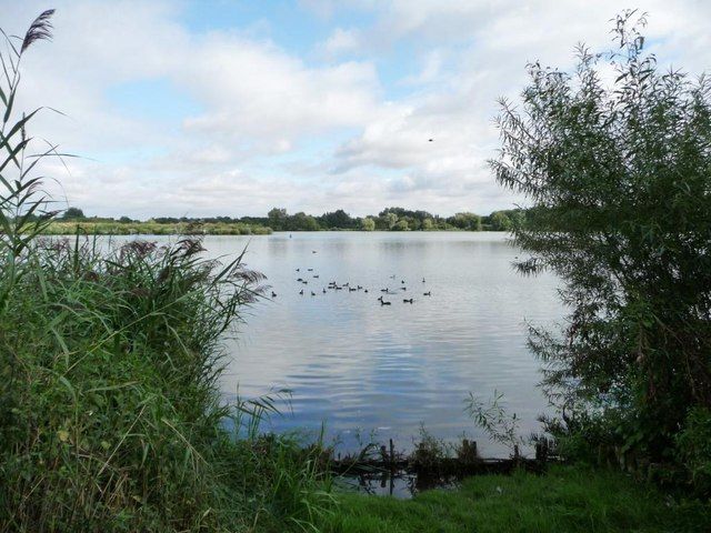 Priory Lake, from the southern shore