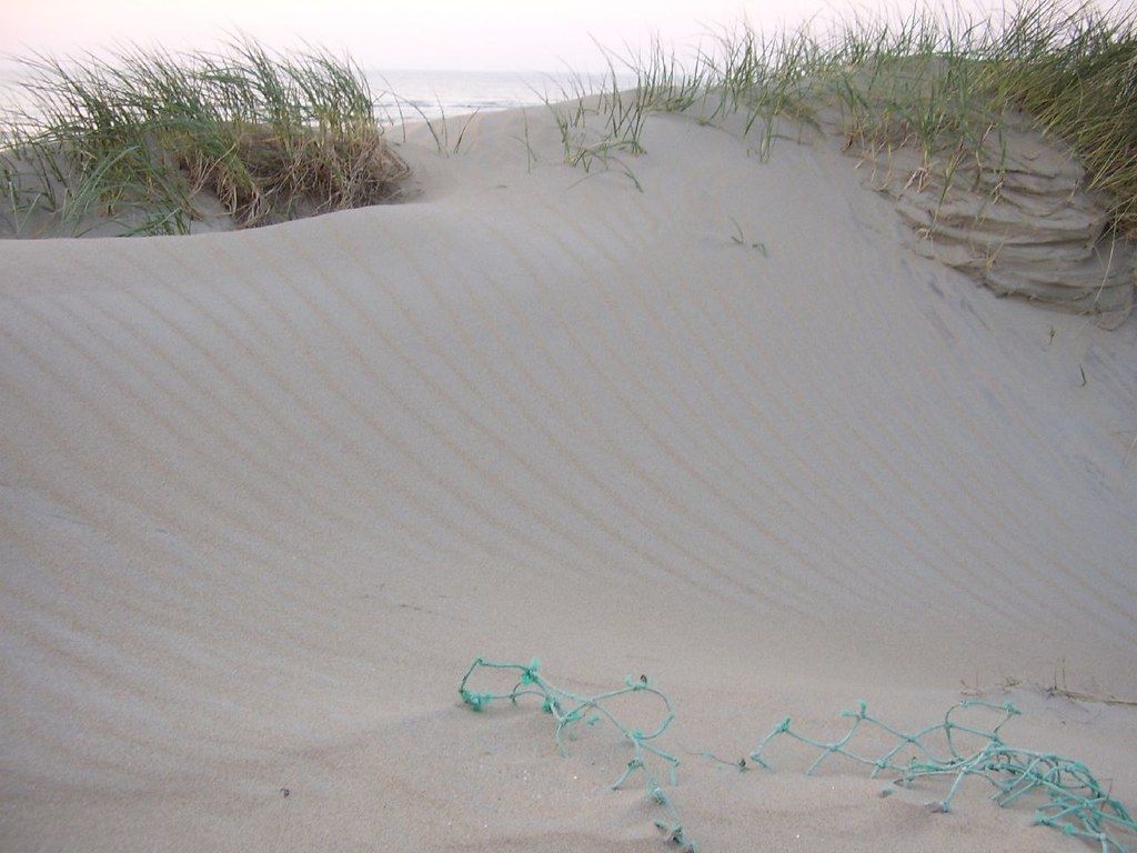NL beach