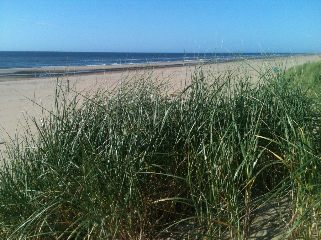 Finally summer on the beach of Scheveningen