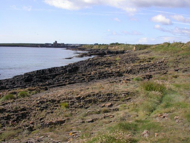 Dipping limestone slabs in Bullockpark Bay