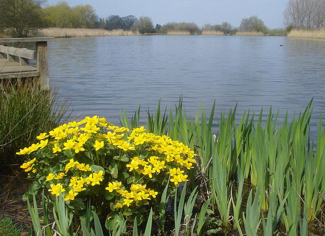 Outdoor Swimming