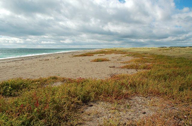 Wexford Coastal View