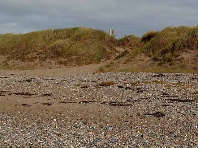 Gap in the dunes, Ballyteige Strand