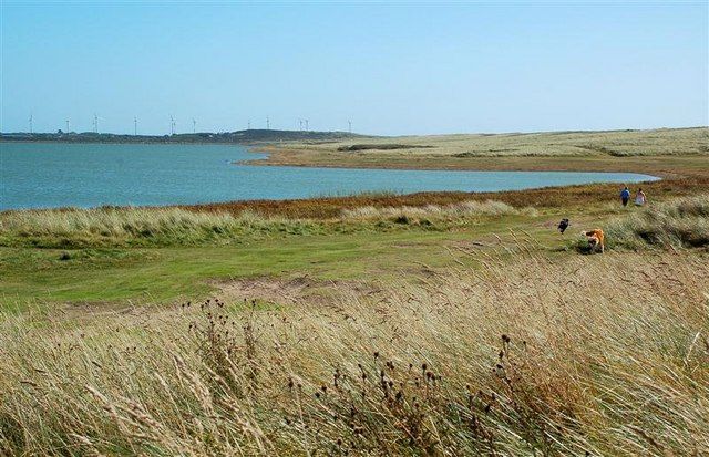 The Beach at Rostonstown