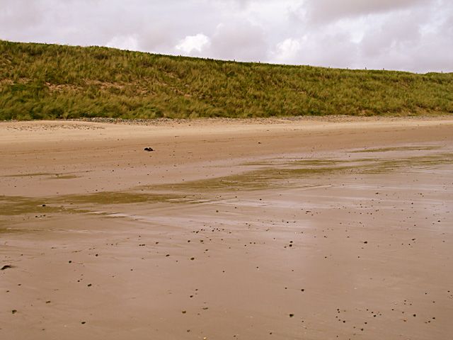 Low sand dunes at the back of the beach.