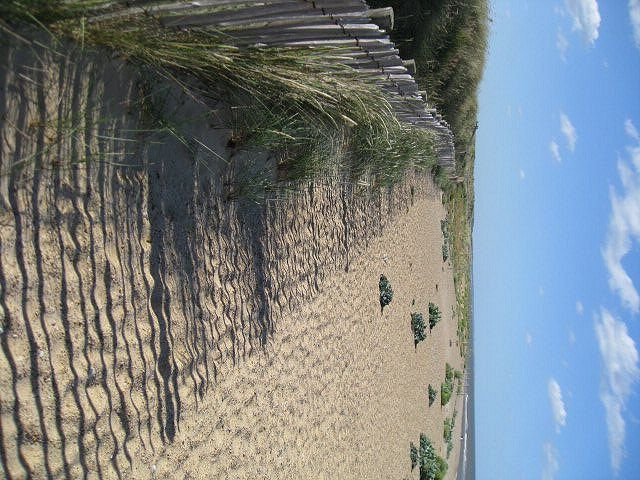 Beach and dunes at Sizewell