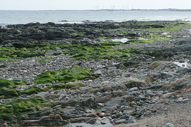 Foreshore south of St. Helen's