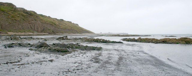 Beach North of Greenore Point