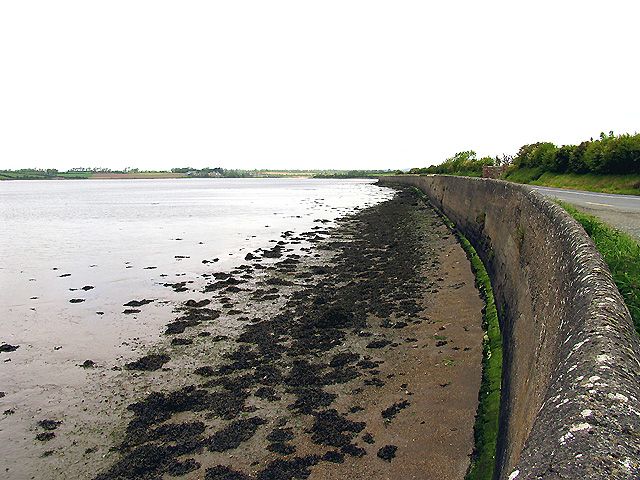 The coast road to Wellington Bridge
