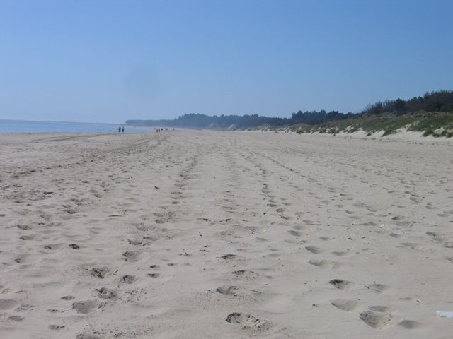 Tracks in the sand, Curracloe beach, Co. Wexford