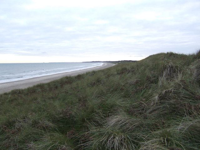 Top of the dunes - view south