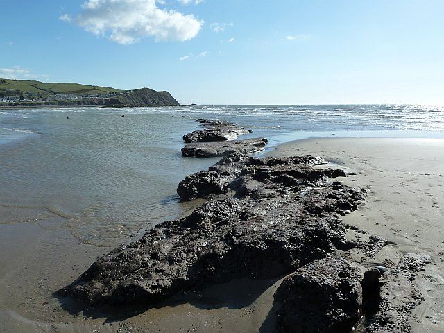 Waves and seagull, Borth Beach