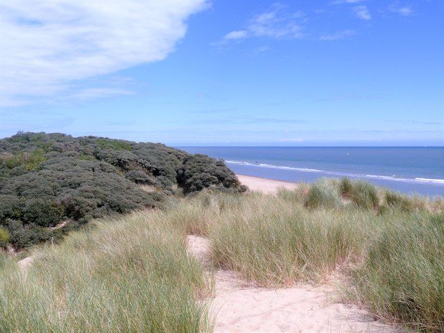The view from atop the dunes [4]