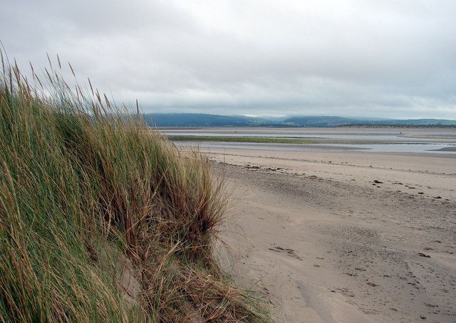 Sand Dunes at Aberdovey