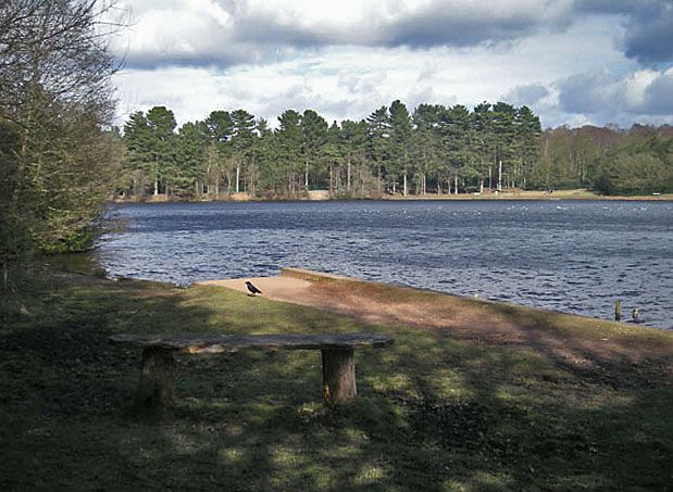 Shore of Blackroot Pool, Sutton Park