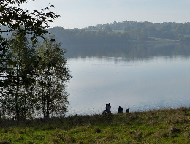 Along the north shore of Rutland Water