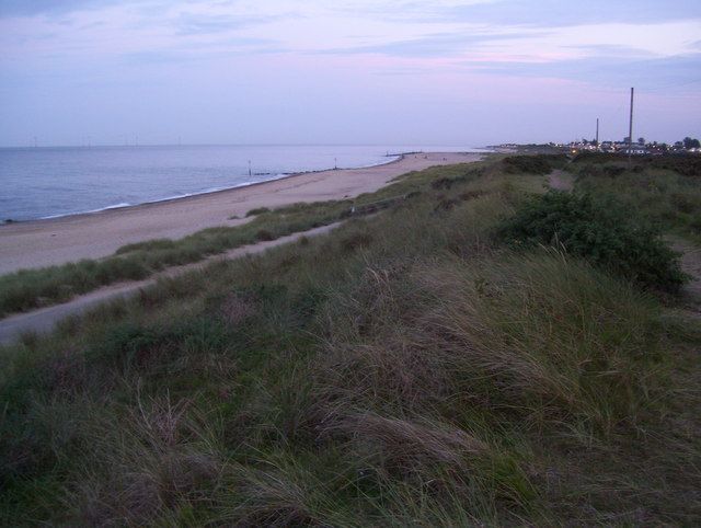 Sand-dunes at Caister