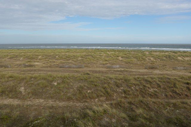 Sand dunes at Winterton