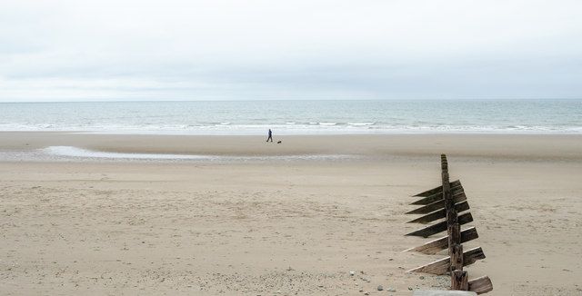Dog walking on the beach at Barmouth