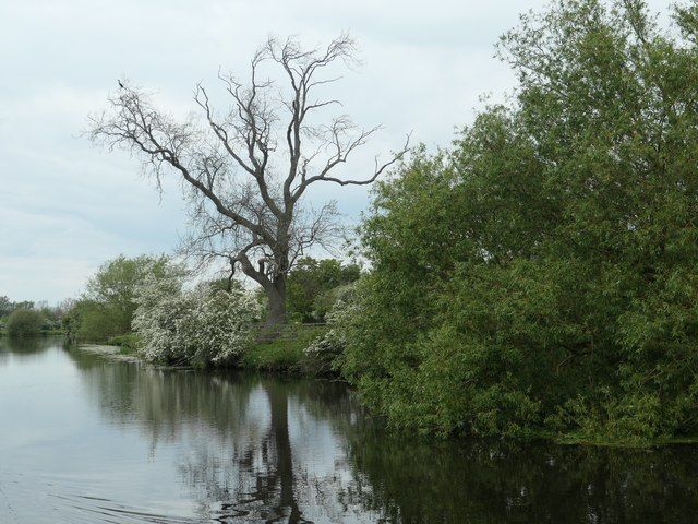 Towpath of the Grand Union Canal