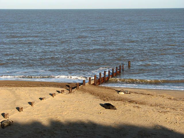 View of a seal bull lying on the beach near the water