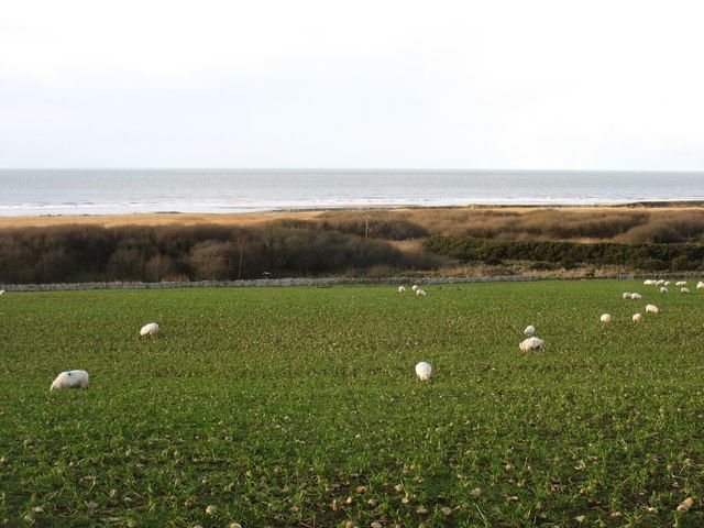 Looking down to Barmouth Bay