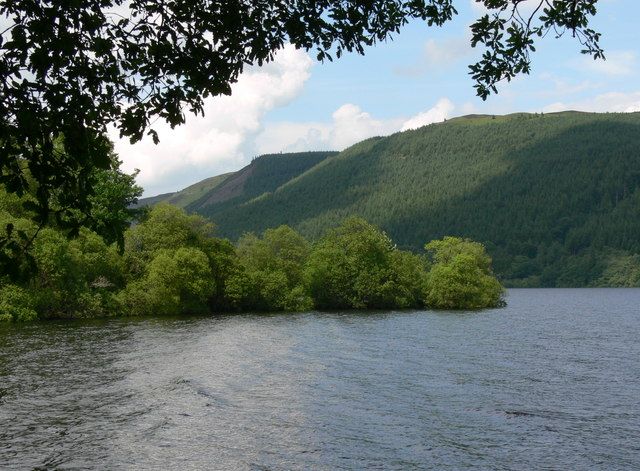 Moss covered rocks, Lake Vyrnwy