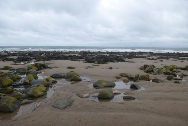 Rocky beach on Shell Island