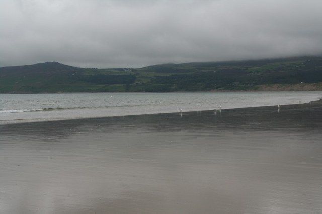 With the seagulls for company