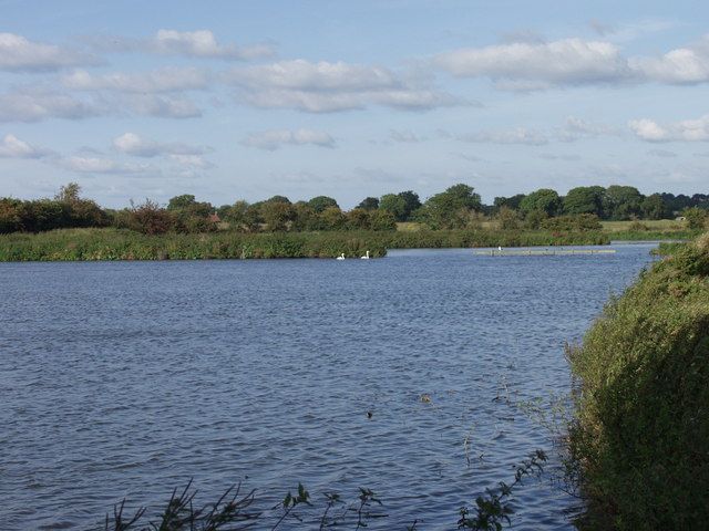 Lagoons on Bagley Marsh