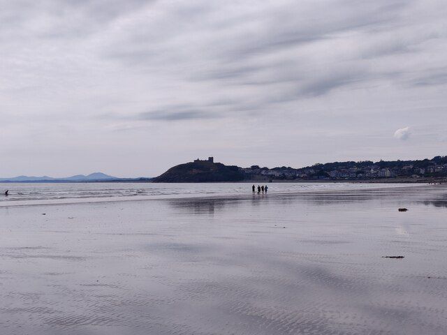 Dogfish on Criccieth Beach