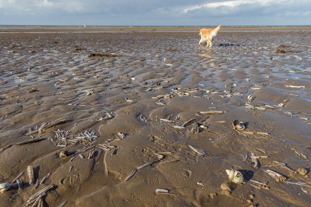 Beach, Old Hunstanton, Norfolk