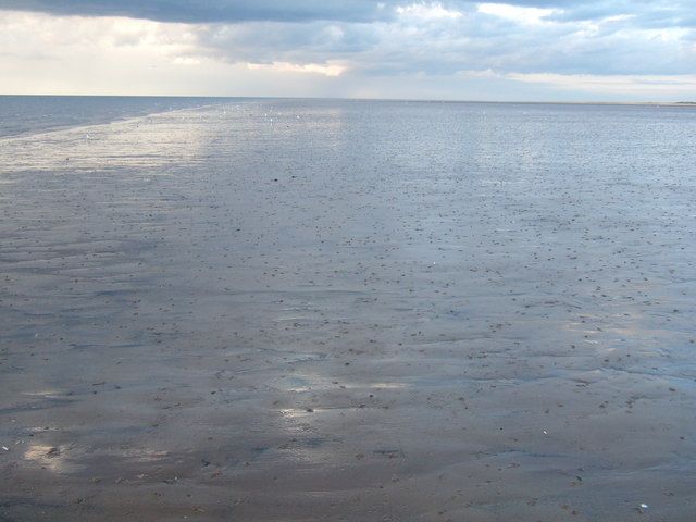 Shells on the beach, Old Hunstanton