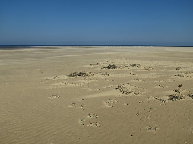 Bob Hall's Sand