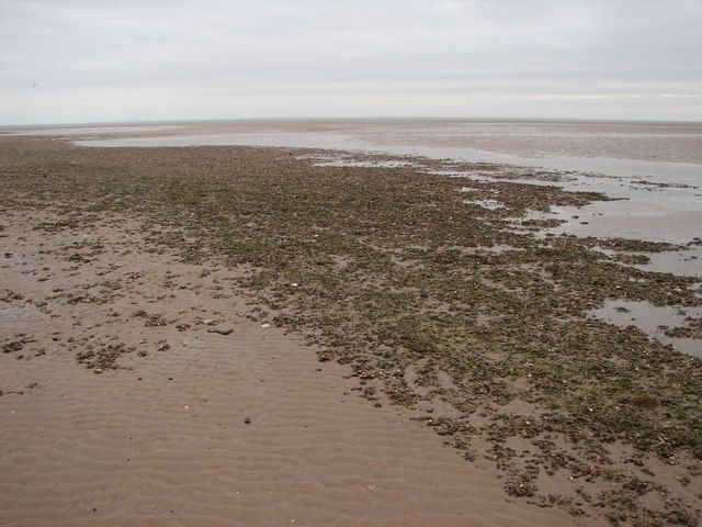 Sand, Stones and Shells