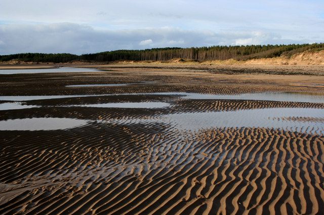 Ripples in the sand.
