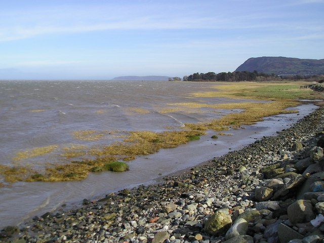 The Shore Near Cwrtiau