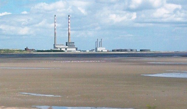 Pools and birds on the Merrion Strand