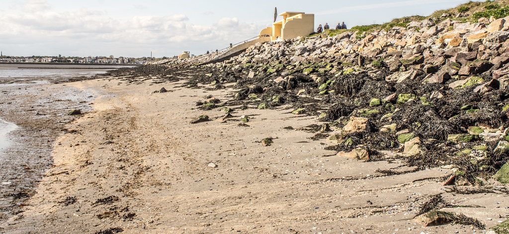 Bull Wall Bathing Shelter