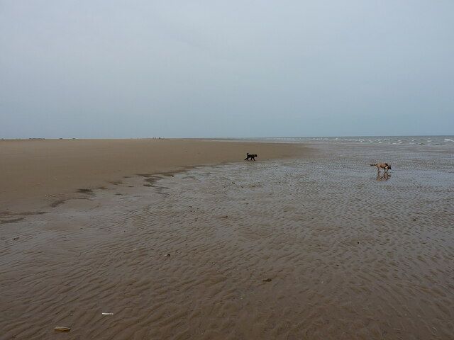 Sand with ripples